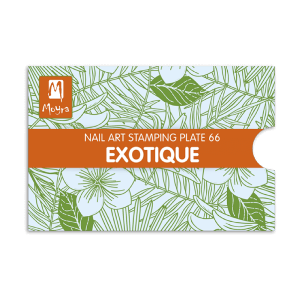 Moyra Exotique Nr.66 matrica